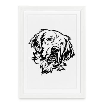 Golden Retriever Head - Framed poster (27 × 37 cm) - white - Front