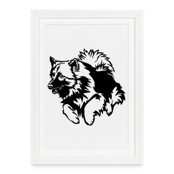 Wolfsspitz - Affiche encadrée (27 × 37 cm) - blanc - Devant