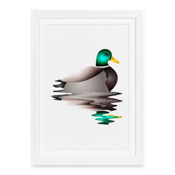 hand-drawn male duck in water - Framed poster (27 × 37 cm) - white - Front