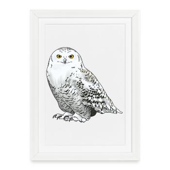 Snowy owl white - Framed poster (27 × 37 cm) - white - Front
