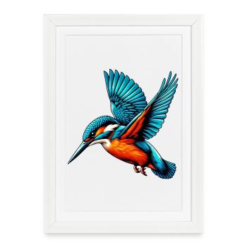 Martin-pêcheur - Affiche encadrée (27 × 37 cm) - blanc - Devant