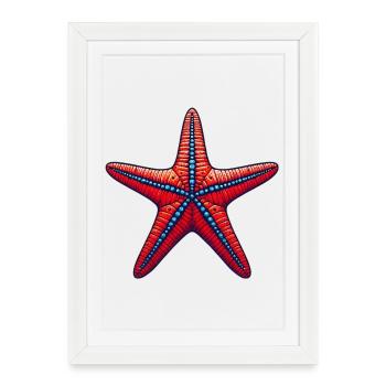 Étoile de mer - Affiche encadrée (27 × 37 cm) - blanc - Devant