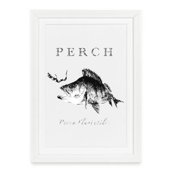 Perch Angler - Leurres artificiels pour poissons prédateurs - Affiche encadrée (27 × 37 cm) - blanc - Devant