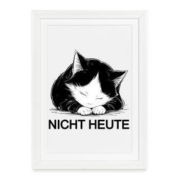 Cuddly black and white cat not today - Framed poster (27 × 37 cm) - white - Front