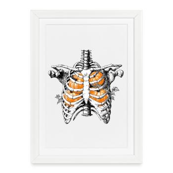 Côtes de citrouille Squelette Torse avec citrouilles - Affiche encadrée (27 × 37 cm) - blanc - Devant