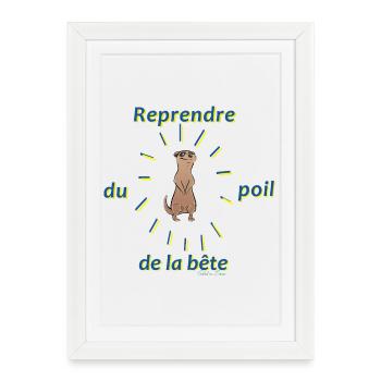Reprendre du poil de la bête - Affiche encadrée (27 × 37 cm) - blanc - Devant