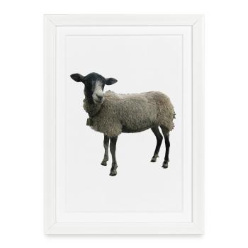 Mouton - Affiche encadrée (27 × 37 cm) - blanc - Devant