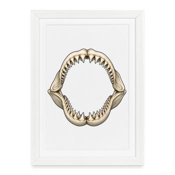 Motif de prothèse de requin Vie marine de plongée océanique - Affiche encadrée (27 × 37 cm) - blanc - Devant