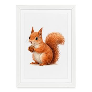 Squirrel with acorn illustration - Framed poster (27 × 37 cm) - white - Front