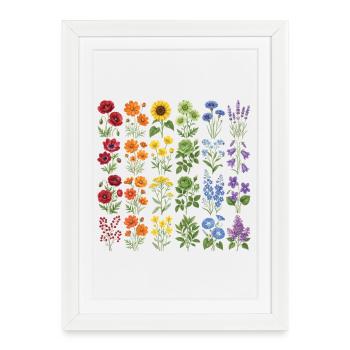 LGBTQ Pride Month - Rainbow Flowers - Framed poster (27 × 37 cm) - white - Front