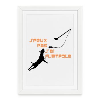 Staffie j'peux pas j'ai flirtpole sport - 002 - Affiche encadrée (27 × 37 cm) - blanc - Devant