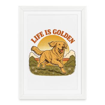 Life is golden with Golden Retriever - Framed poster (27 × 37 cm) - white - Front