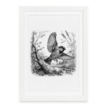 Cute sparrow in flight in nature in drawing style - Framed poster (27 × 37 cm) - white - Front