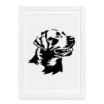 Labrador head - Framed poster (27 × 37 cm) - white - Front