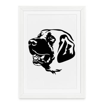 Kangal Tête - Affiche encadrée (27 × 37 cm) - blanc - Devant