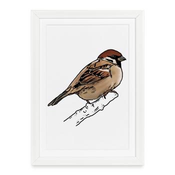 Moineau - Moineau - Affiche encadrée (27 × 37 cm) - blanc - Devant