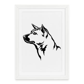 Thai Ridgeback Head - Affiche encadrée (27 × 37 cm) - blanc - Devant