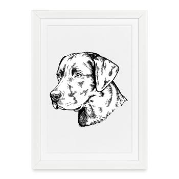 Retriever Portrait - Affiche encadrée (27 × 37 cm) - blanc - Devant