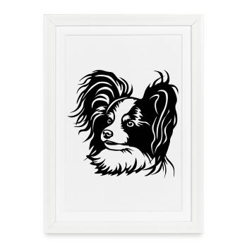 Papillon Head - Framed poster (27 × 37 cm) - white - Front
