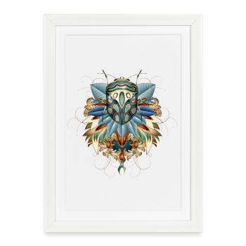 Insecte africain exotique dans l’amulette de la feuille - Affiche encadrée (27 × 37 cm) - blanc - Devant