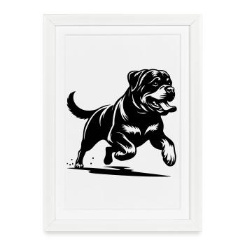 Rottweiler - Affiche encadrée (27 × 37 cm) - blanc - Devant