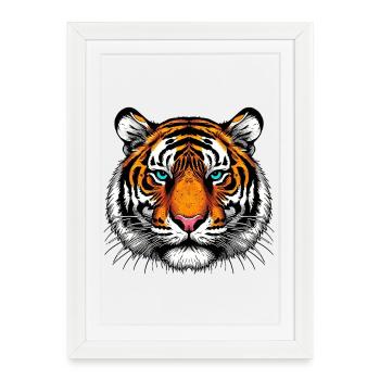 Tiger - Framed poster (27 × 37 cm) - white - Front