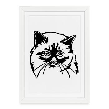Birman Cat - Framed poster (27 × 37 cm) - white - Front