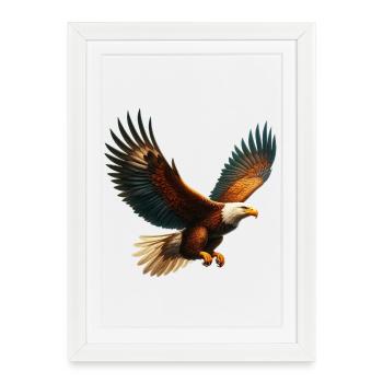 Aigle - Affiche encadrée (27 × 37 cm) - blanc - Devant