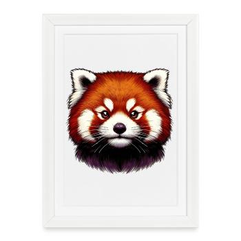 Petit panda - Affiche encadrée (27 × 37 cm) - blanc - Devant
