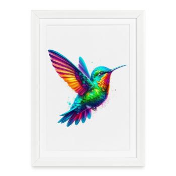 Colibri - Affiche encadrée (27 × 37 cm) - blanc - Devant