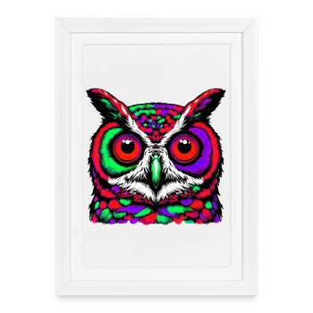Owl - Framed poster (27 × 37 cm) - white - Front