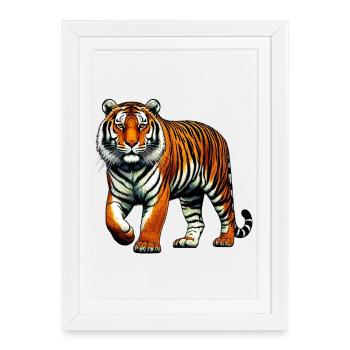 Tiger - Framed poster (27 × 37 cm) - white - Front