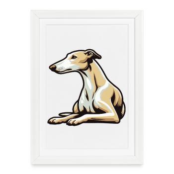 Lévrier - Affiche encadrée (27 × 37 cm) - blanc - Devant