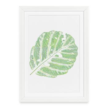 Leaf / Alder - Framed poster (27 × 37 cm) - white - Front