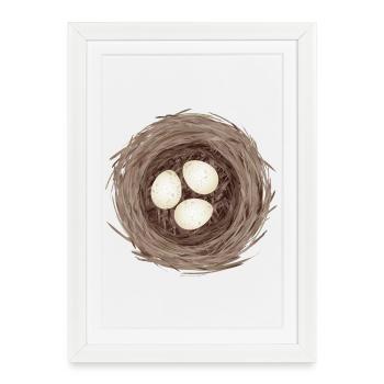 Nid d’oiseau avec trois œufs – illustration naturelle - Affiche encadrée (27 × 37 cm) - blanc - Devant
