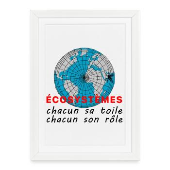 ecosystmes_chacun_sa_toile_chacun_son_role - Affiche encadrée (27 × 37 cm) - blanc - Devant