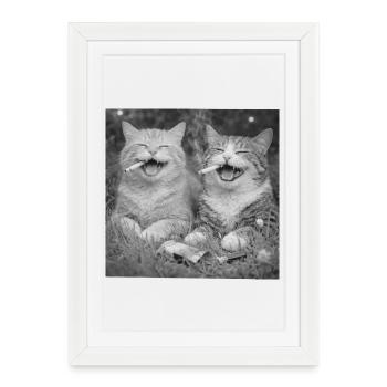 Des chats riant avec des cigarettes - Affiche encadrée (27 × 37 cm) - blanc - Devant