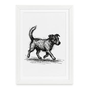 Jack Russell Terrier – Conception de chien de croquis - Affiche encadrée (27 × 37 cm) - blanc - Devant