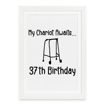 37th Birthday Party Funny 37 Years Old Birthday - Affiche encadrée (27 × 37 cm) - blanc - Devant