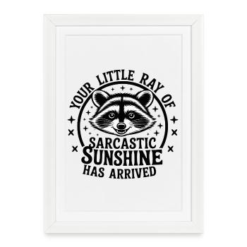 Raccoon Sarcastic Sunshine Has Arrived - Framed poster (27 × 37 cm) - white - Front