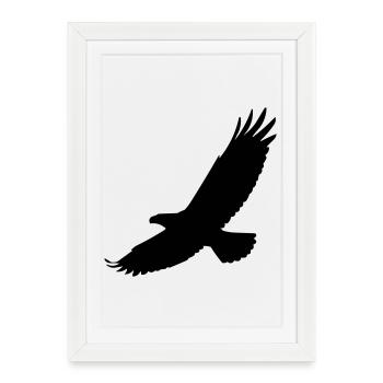 Faucon en vol - Affiche encadrée (27 × 37 cm) - blanc - Devant