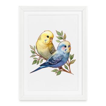Budgies - Affiche encadrée (27 × 37 cm) - blanc - Devant