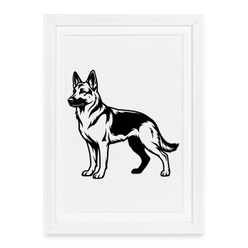 berger allemand - Affiche encadrée (27 × 37 cm) - blanc - Devant