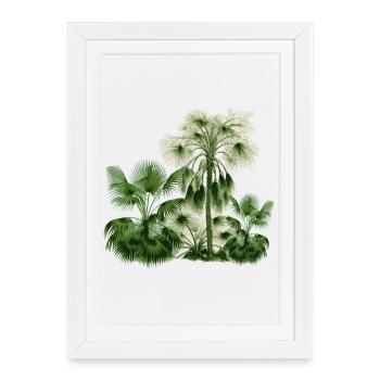 palmier - Affiche encadrée (27 × 37 cm) - blanc - Devant