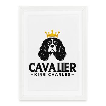 Cavalier King Charles Couronné - Affiche encadrée (27 × 37 cm) - blanc - Devant