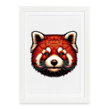 Petit panda - Affiche encadrée (27 × 37 cm) - blanc - Devant