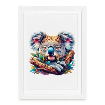 Koala - Affiche encadrée (27 × 37 cm) - blanc - Devant