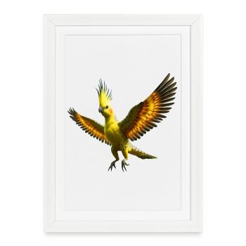 Cockatiel (21) - Framed poster (27 × 37 cm) - white - Front