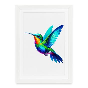Colibri - Affiche encadrée (27 × 37 cm) - blanc - Devant