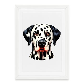 Chien dalmatien - Affiche encadrée (27 × 37 cm) - blanc - Devant